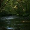 Oconoluftee River, Cherokee, North Carolina
